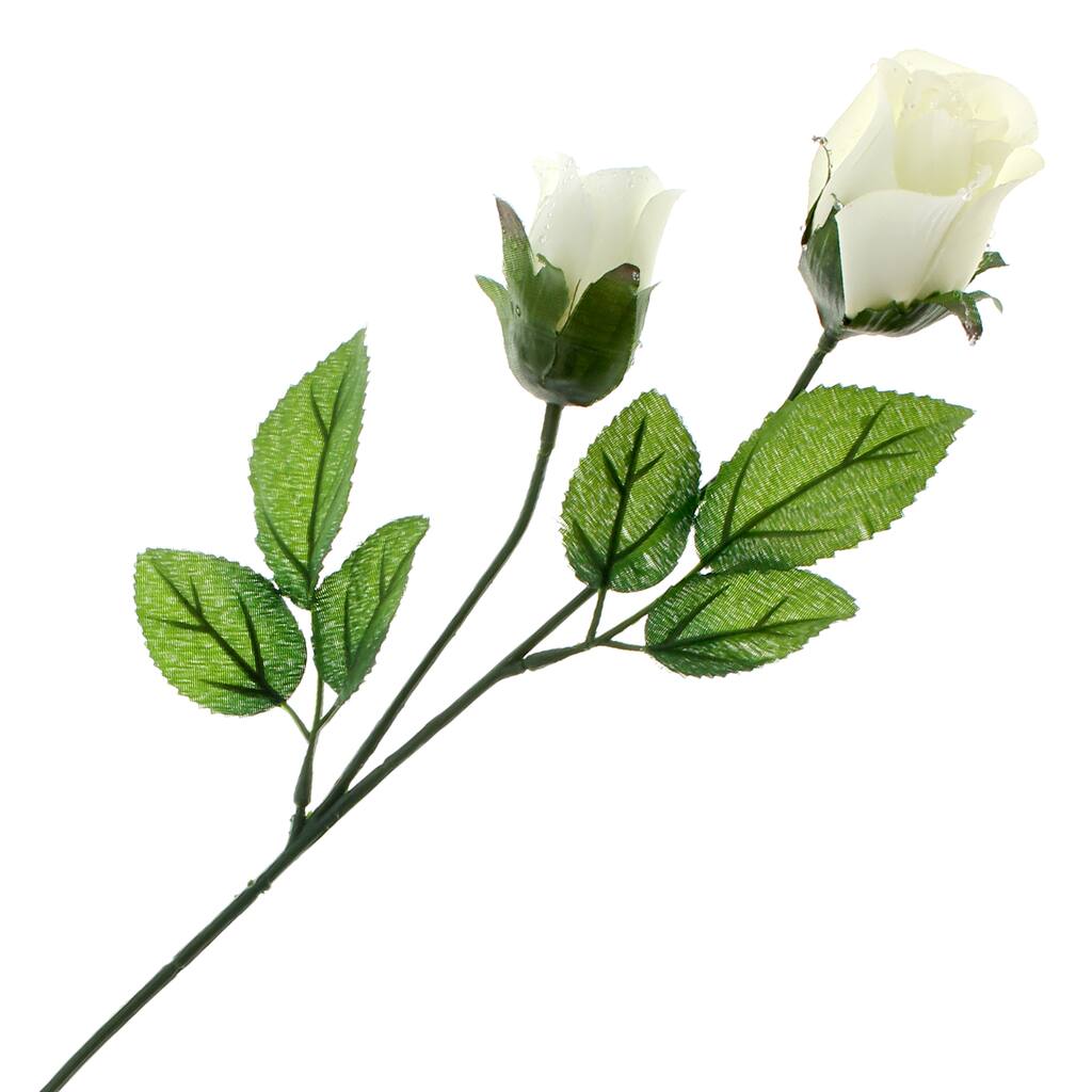 10263013.jpg img